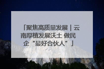 聚焦高质量发展｜云南厚植发展沃土 做民企“最好合伙人”