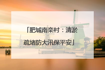 肥城南栾村：清淤疏堵防大汛保平安