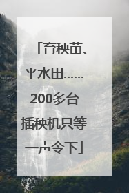 育秧苗、平水田……200多台插秧机只等一声令下