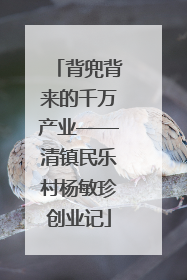 背兜背来的千万产业——清镇民乐村杨敏珍创业记