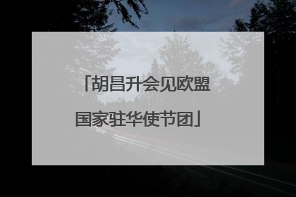 胡昌升会见欧盟国家驻华使节团