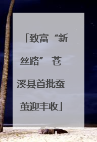 致富“新丝路” 苍溪县首批蚕茧迎丰收