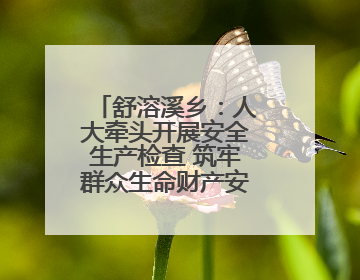 舒溶溪乡：人大牵头开展安全生产检查 筑牢群众生命财产安全防线