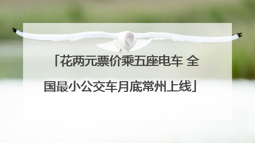 花两元票价乘五座电车 全国最小公交车月底常州上线