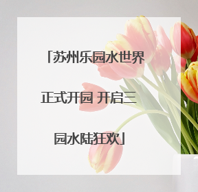 苏州乐园水世界正式开园 开启三园水陆狂欢