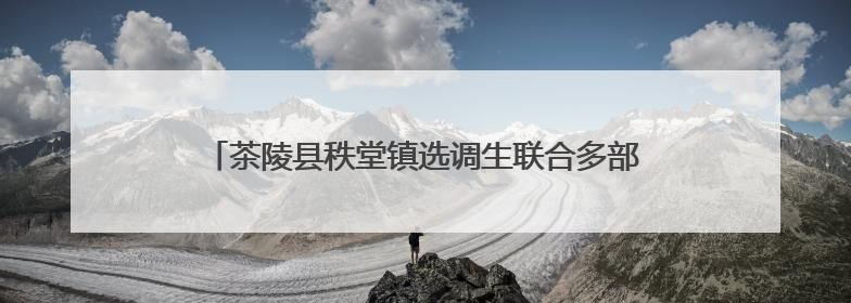 茶陵县秩堂镇选调生联合多部门开展安全宣讲进校园活动