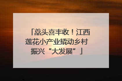 藠头喜丰收！江西莲花小产业撬动乡村振兴“大发展”