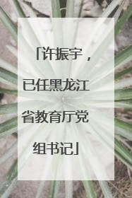 许振宇，已任黑龙江省教育厅党组书记