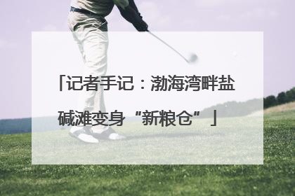 记者手记：渤海湾畔盐碱滩变身“新粮仓”