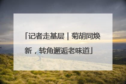 记者走基层｜菊胡同焕新，转角邂逅老味道