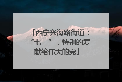 西宁兴海路街道：“七一”，特别的爱献给伟大的党