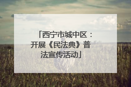 西宁市城中区：开展《民法典》普法宣传活动