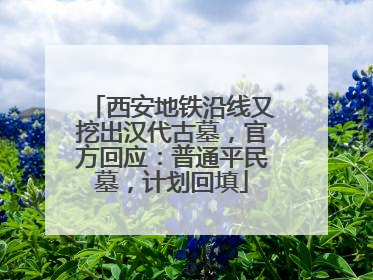 西安地铁沿线又挖出汉代古墓，官方回应：普通平民墓，计划回填