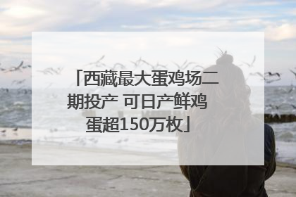 西藏最大蛋鸡场二期投产 可日产鲜鸡蛋超150万枚