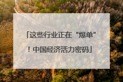 这些行业正在“爆单”！中国经济活力密码