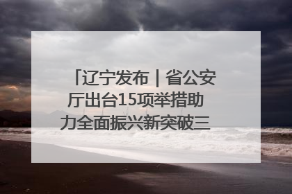 辽宁发布｜省公安厅出台15项举措助力全面振兴新突破三年行动决胜之战
