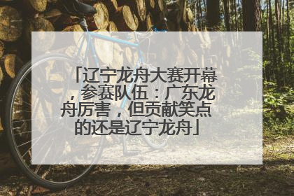 辽宁龙舟大赛开幕，参赛队伍：广东龙舟厉害，但贡献笑点的还是辽宁龙舟