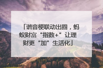 谐音梗联动出圈，蚂蚁财富“指数+”让理财更“加”生活化