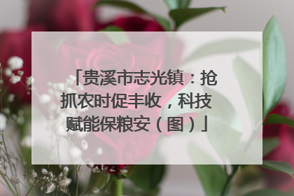 贵溪市志光镇：抢抓农时促丰收，科技赋能保粮安（图）