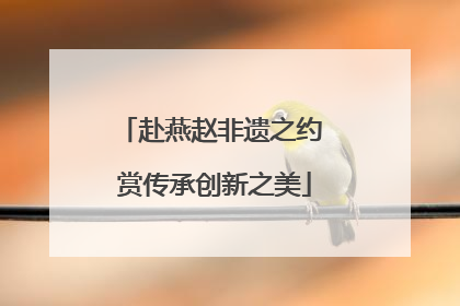 赴燕赵非遗之约 赏传承创新之美