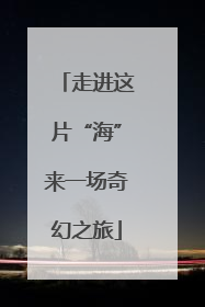 走进这片“海”来一场奇幻之旅