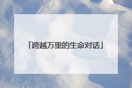 跨越万里的生命对话