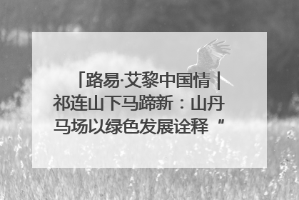路易·艾黎中国情｜祁连山下马蹄新：山丹马场以绿色发展诠释“两山”理论实践