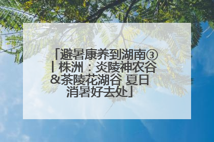 避暑康养到湖南③丨株洲：炎陵神农谷&茶陵花湖谷 夏日消暑好去处