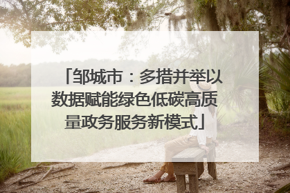 邹城市：多措并举以数据赋能绿色低碳高质量政务服务新模式