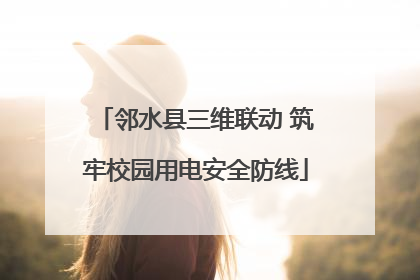 邻水县三维联动 筑牢校园用电安全防线