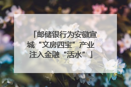 邮储银行为安徽宣城“文房四宝”产业注入金融“活水”