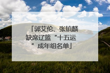 郭艾伦、张镇麟缺席辽篮“十五运”成年组名单