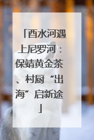酉水河遇上尼罗河：保靖黄金茶、村厨“出海”启新途