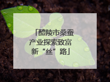 醴陵市桑蚕产业探索致富新“丝”路