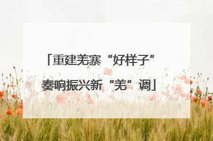 重建羌寨“好样子” 奏响振兴新“羌”调