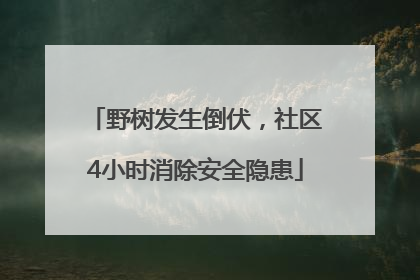 野树发生倒伏，社区4小时消除安全隐患