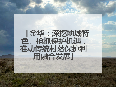 金华：深挖地域特色、抢抓保护机遇，推动传统村落保护利用融合发展