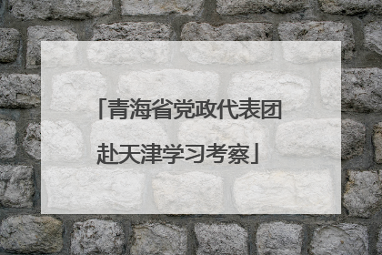 青海省党政代表团赴天津学习考察