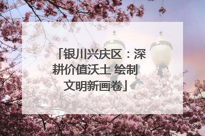 银川兴庆区：深耕价值沃土 绘制文明新画卷