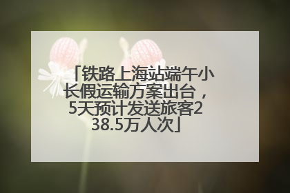 铁路上海站端午小长假运输方案出台，5天预计发送旅客238.5万人次