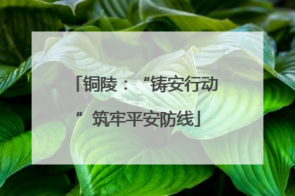 铜陵：“铸安行动”筑牢平安防线