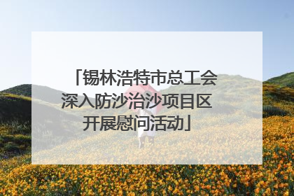 锡林浩特市总工会深入防沙治沙项目区开展慰问活动