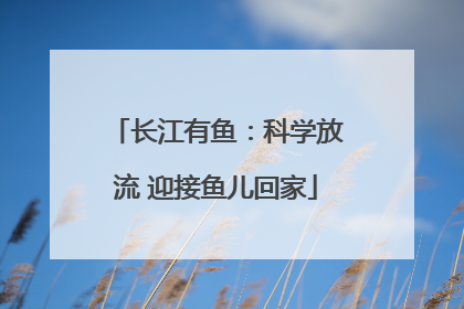 长江有鱼：科学放流 迎接鱼儿回家