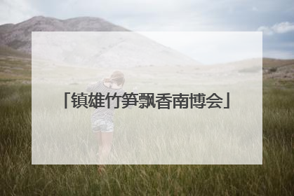 镇雄竹笋飘香南博会