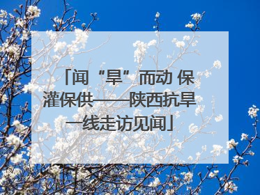 闻“旱”而动 保灌保供——陕西抗旱一线走访见闻