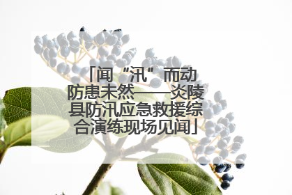 闻“汛”而动 防患未然——炎陵县防汛应急救援综合演练现场见闻