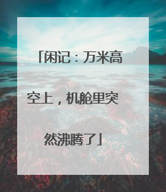 闲记：万米高空上，机舱里突然沸腾了