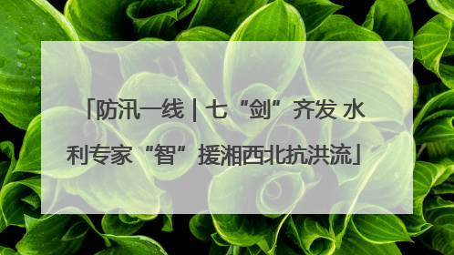 防汛一线｜七“剑”齐发 水利专家“智”援湘西北抗洪流