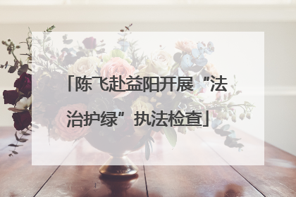 陈飞赴益阳开展“法治护绿”执法检查