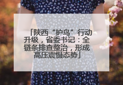 陕西“护鸟”行动升级，省委书记：全链条排查整治，形成高压震慑态势